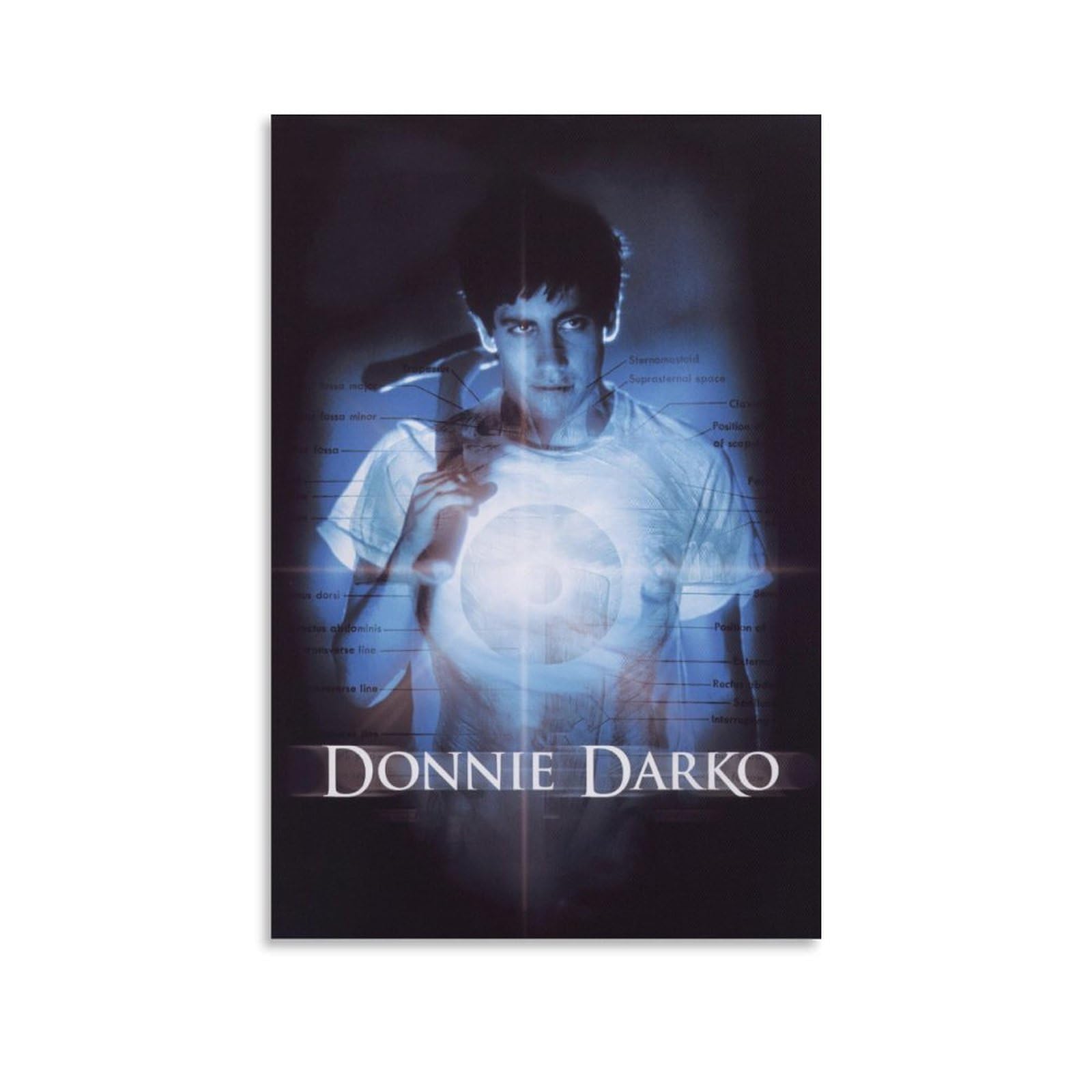 KONEO DONNIE DARKO Movie Poster Canvas Wall Art for Bedroom Office Kitchen Gift 12x18inch